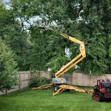 Best Tree Cabling and Bracing  in Riner, VA